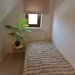 Pino House 3* Zakopane