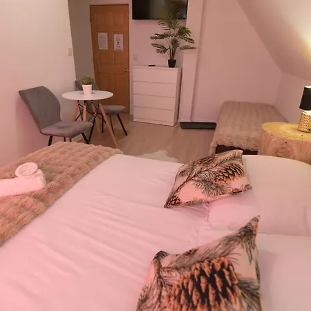 Pensión Pino House 3*