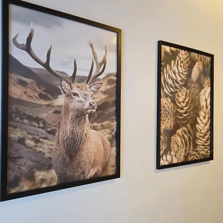 Pino House زاكوباني