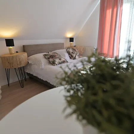 Gasthuis Pino House 3*