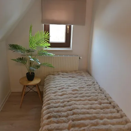 Pino House 3* Zakopane