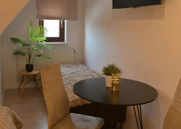 Pino House Gæstehus Zakopane